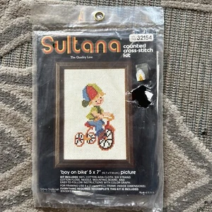 Sultana Needlecraft kit punto croce contato ragazzo su bici foto 5x7 #32154 NUOVO - Foto 1 di 5