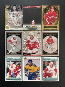 Detroit Red Wings Fan Lot (68) 1990-Present 🎁A Great Gift Idea For Any Fan!🎁 - Picture 1 of 9