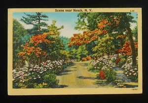 1949 colorata scena di strada sterrata Nyack NY Rockland Co cartolina New York - Foto 1 di 1