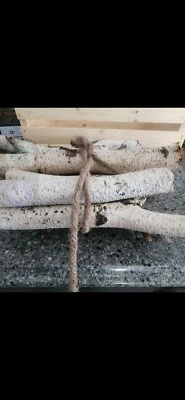 Paquete de 10 ramas de abedul/aspen de 10 tamaños aleatorios que van de 12 a 16 pulgadas de largo Foto 1 de 4