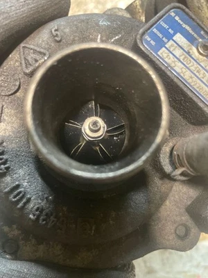 Fiat Linea 2010 Diesel 70kW Turbo 54359708005 STO57241 - Bild 1 von 4