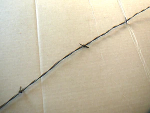 MILES TWO POINT STAPLE BARB AROUND TWO LIGHTWEIGHT LINES - ANTIQUE BARBED WIRE - Picture 1 of 5
