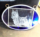 Silky Terrier  hand engraved  signed glass panel, stained glass border