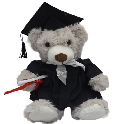 Oso de peluche graduación personalizado peluche regalo Foto 1 de 4