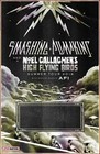 SMASHING PUMPKINS NOEL GALLAGHERS HIGH FLYING BIRDS Tour 2019 Ltd Ed RARE Poster