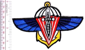 France Navy Marine Regiment Airborne RPIMa Special Air Service SAS Wings - Bild 1 von 1