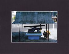 8X10" Matted Print Photo Picture: Roman Signer, 2004 Travel Photos Poland