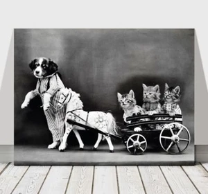 CUTE VINTAGE B&W Dog Dressed Up With Kittens - CANVAS ART PRINT POSTER - 36x24" - Picture 1 of 1