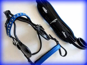 CARRO DE CONDUCCIÓN Silla de montar Seno ARNÉS PONY Negro y Azul Acct +4" Broca 1/2 mejilla - Imagen 1 de 1