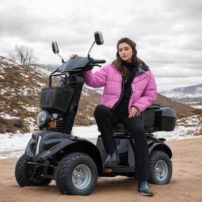 Heavy Duty 4-Wheel Mobility Scooter 31 Miles 3-Speed 1000W 500lbs Capacity Black - Image 1 of 4