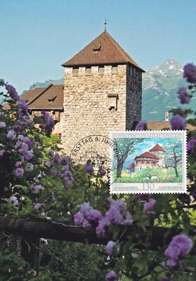 LIECHENTSTEIN 2009 TWO FIRST DAY COVERS VADUZ CASTLES ARCHITECTURE ON MAXI CARDS - Image 1 of 2