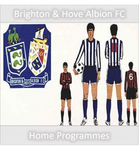 Programme Brighton Hove Albion Football Goldstone Ground Programmes - Various - Picture 1 of 81