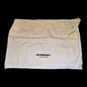BURBERRY Mint Green Cotton Travel Storage Drawstring Dust bag 15” X 11” - Picture 1 of 6