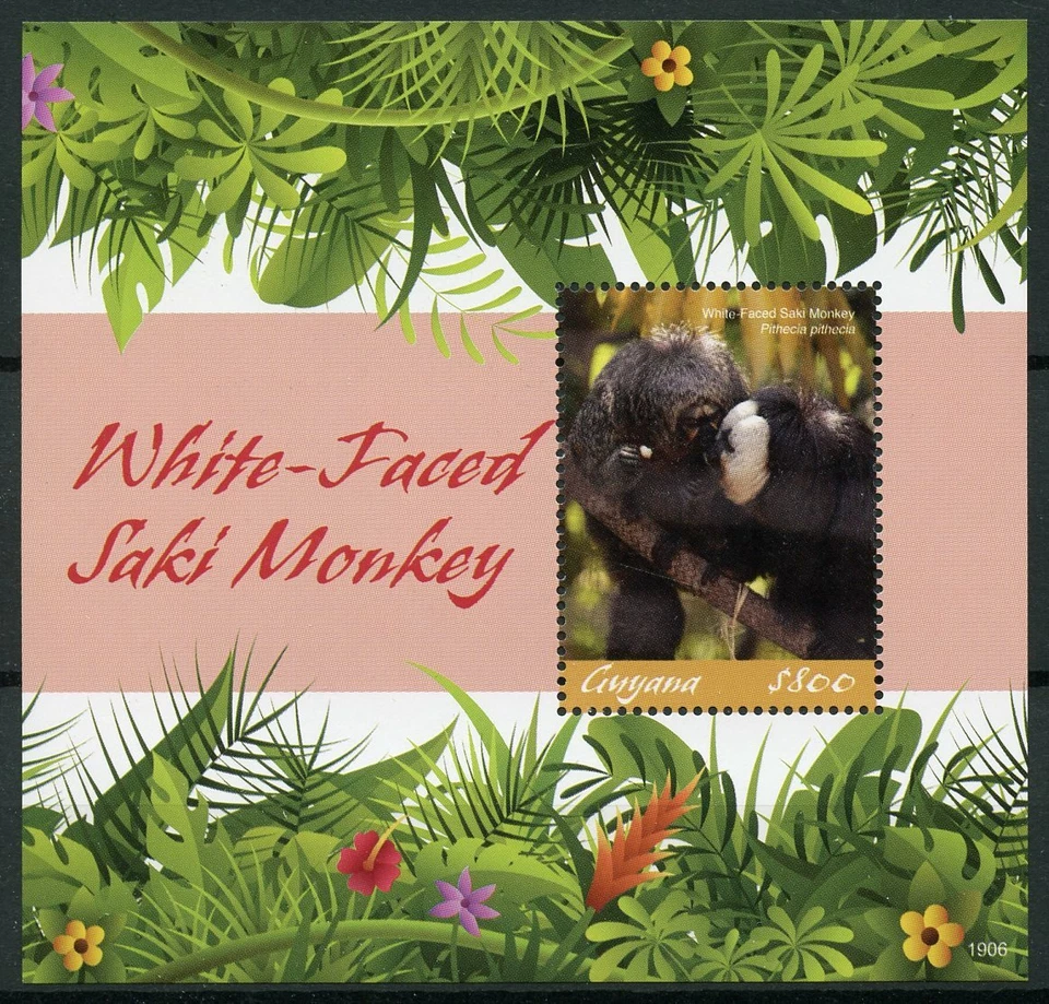 Guyana 2019 MNH White-Faced Saki Monkey 1v S/S Monkeys Wild Animals Stamps - Image 1 of 1