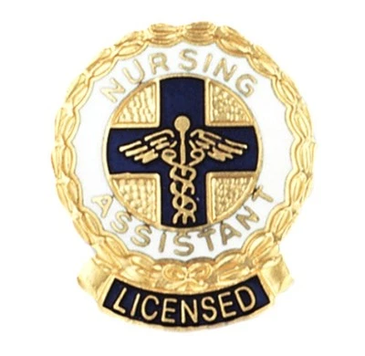 Licensed Nursing Assistant Lapel Pin Medical Graduation Pins Gold Plated New - Image 1 of 4