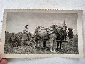 Draft Horses Farmer Plowing Field Snapshot Photo Farming Animals c.1940 - Picture 1 of 14