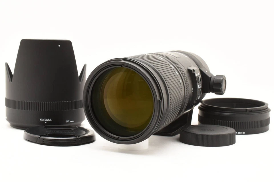 西格玛 APO 70-200 毫米 f2.8 索尼 EX DG OS HSM 可正常工作 — 第 1/4 张图片