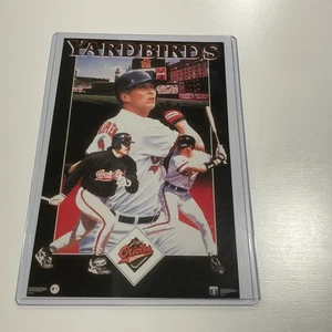 Poster Promo Vintage Baltimore Orioles "Yardbirds" Costacos Card Cal Ripken 4x6 - Foto 1 di 3