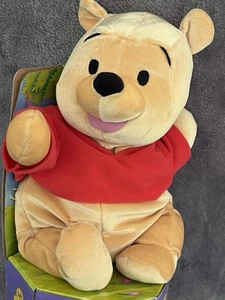 Winnie The Pooh ‚Soft N Silly‘ Floppy Plüsch 2001 Mattel Fisher Price Disney NEU - Bild 1 von 9