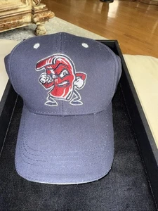 Lehigh Valley, maiali di ferro, berretto pancetta da combattimento sandwich fattura promozione capitale3803 - Foto 1 di 6