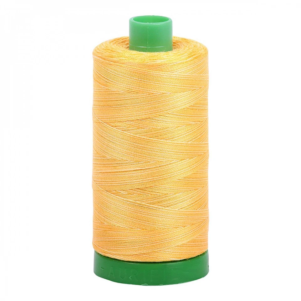 A1140-3920 Mako Cotton Embroidery Thread 40wt 1094yds Variegated Yellow - Image 1 of 1