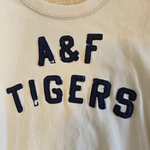 T-shirt Abercrombie & Fitch vestibilità muscolare stile A&F Tigers Varsity XXL Y2K - Foto 1 di 14