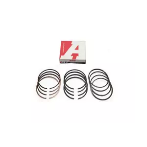 ARCO Segmentsatz für Citroen DS Ford Opel Peugeot 1.5HDI 1.5TDCi DV5 STD X4 - Bild 1 von 1