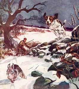 ANTIQUE REPRO PHOTO PRINT MAGAZINE COVER ART COTTONTAIL RABBIT HUNTING BEAGLE #2 - Picture 1 of 1