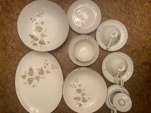Juego de 19 platos surtidos de vid fina china de Bristol - Imagen 1 de 1