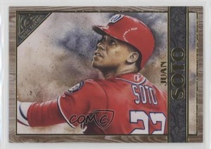 2020 Topps Gallery Wood Juan Soto #4