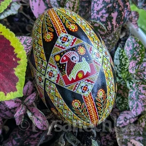 Vero ucraino Pysanka Goose Pysanky Best di Halyna, uovo di Pasqua. - Foto 1 di 11