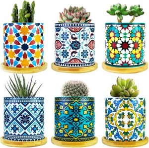6 Pack Mandala Succulent Plant Pot With Bamboo Trays Ceramic Multicolored Succul - Picture 1 of 3