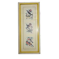 Decorated Arts Framed Matted Wild Bird Print Signed Edward Yellow White 