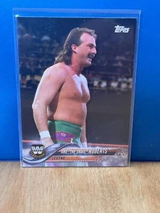 2018 Topps WWE Then Now Forever #193 Jake The Snake Roberts wrestling card - Picture 1 of 2