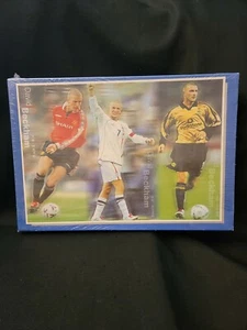 BRAND NEW DAVID BECKHAM SOCCER PUZZLE 1000 Pieces - Picture 1 of 11