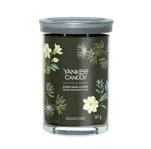 Yankee Candle 20 once argento salvia e pino doppio stoppino barattolo candela - Foto 1 di 1