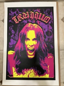 RARE Vintage Vans Tony Trujillo Skateboarding Poster, Black Light with Felt - Bild 1 von 5