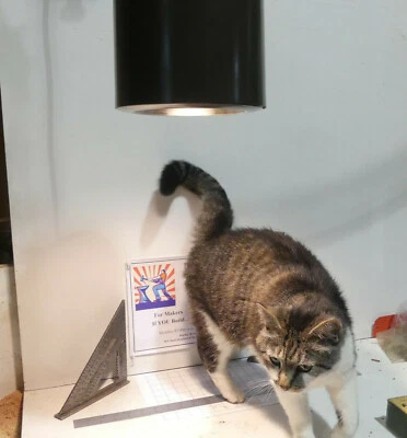 Luz de cilindro colgante contemporánea Progress Lighting con inserto LED regulable Foto 1 de 4