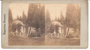 SEQUOIA STUMP c1880s Stereoview DANCE GAZEBO CALAVERAS BIG TREE GROVE California - Picture 1 of 2