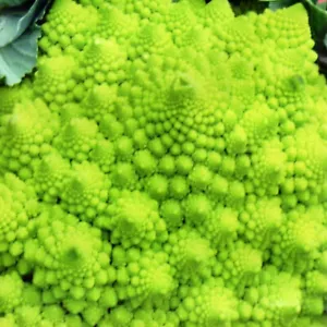 Kohl Blumenkohl Romanesco Natalino Brokkoli Broccoli Kohlsamen 100 Samen Nr.155 - Bild 1 von 1