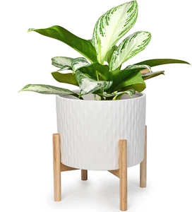 Ceramic Plant Pot with Stand, 10 Inch Planter with Wood Shelf, Modern Round Flow - Picture 1 of 7