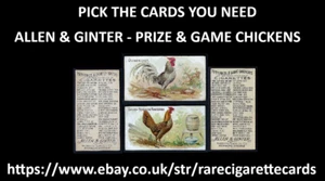 ALLEN & GINTER - PRIZE & GAME CHICKENS - PICK THE CARDS YOU NEED - Picture 1 of 5