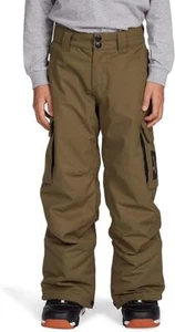 DC YOUTH BANSHEE KIDS BOYS SNOW PANTS - Picture 1 of 8