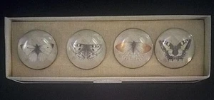 4 BUTTERFLY NAPKIN RINGS by Marjolein Bastin NATURE'S JOURNEY for DEMDACO 17871 - Picture 1 of 8