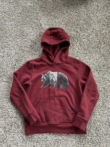 THE NORTH FACE size M/10 Youth SWEATSHIRT Hoodie Boys Unisex GRIZZLY BEAR V24 - Picture 1 of 4