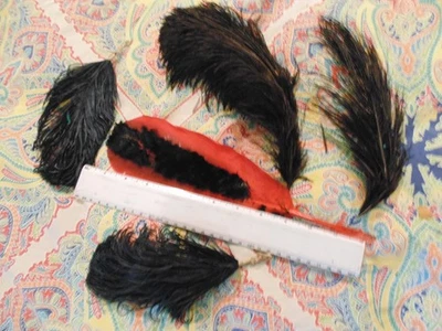 5 lot Antique Vtg French Millinery Hat Feathers Red Black Feather Ostrich Plume - Image 1 of 4
