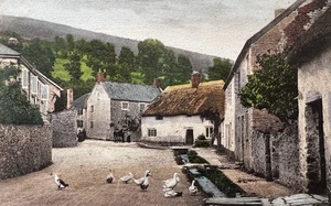 1907 Devon, Vintage Postcard showing Thatched Cottages & Street Scene - Picture 1 of 7