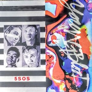 5 Seconds of Summer Vinyl Records for sale | eBay