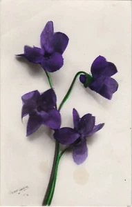 RPPC Postcard Purple Flowers Violet Printed in Italy Torino 1942 Unposted  - Picture 1 of 2