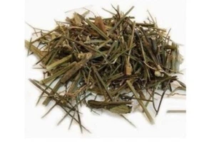 chirayta, CHERAITA, Swertia chirayita, Chirata Pure Herb FREE SHIPPING - Picture 1 of 1